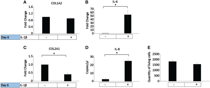 Figure 4