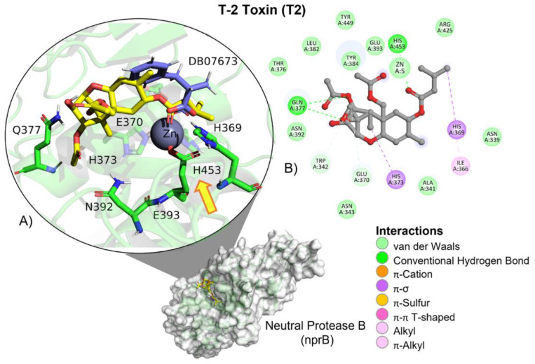 Figure 19