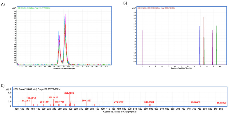 Figure 13