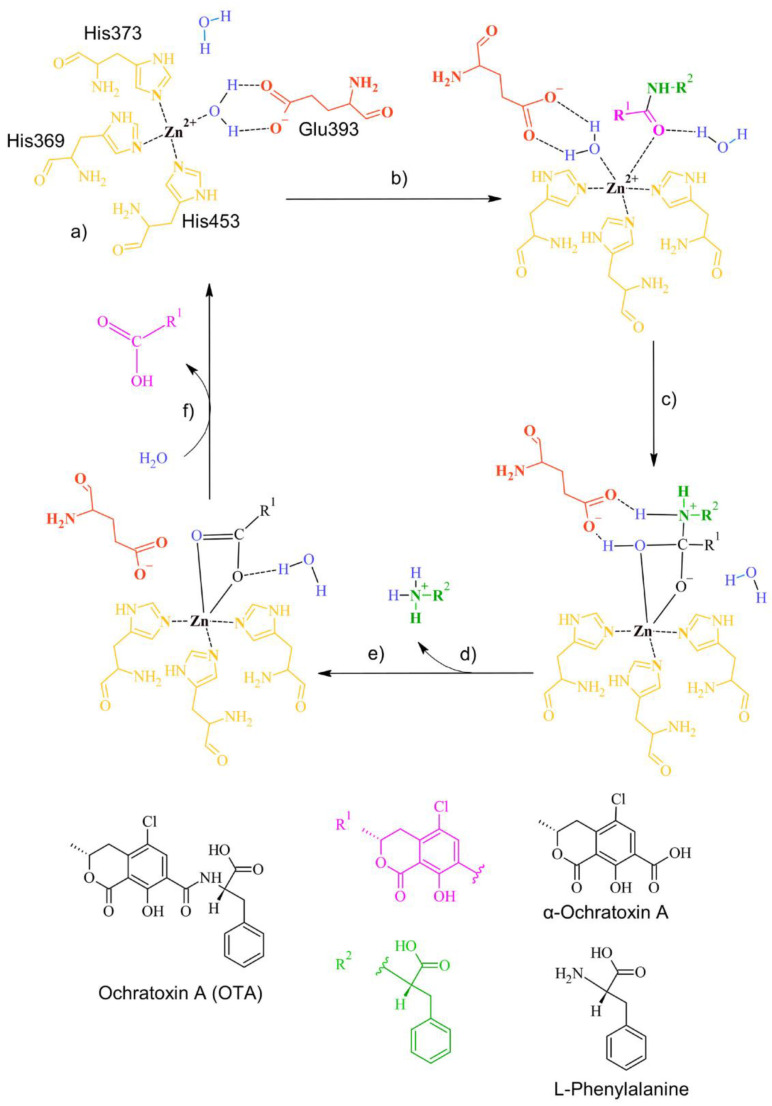 Figure 21