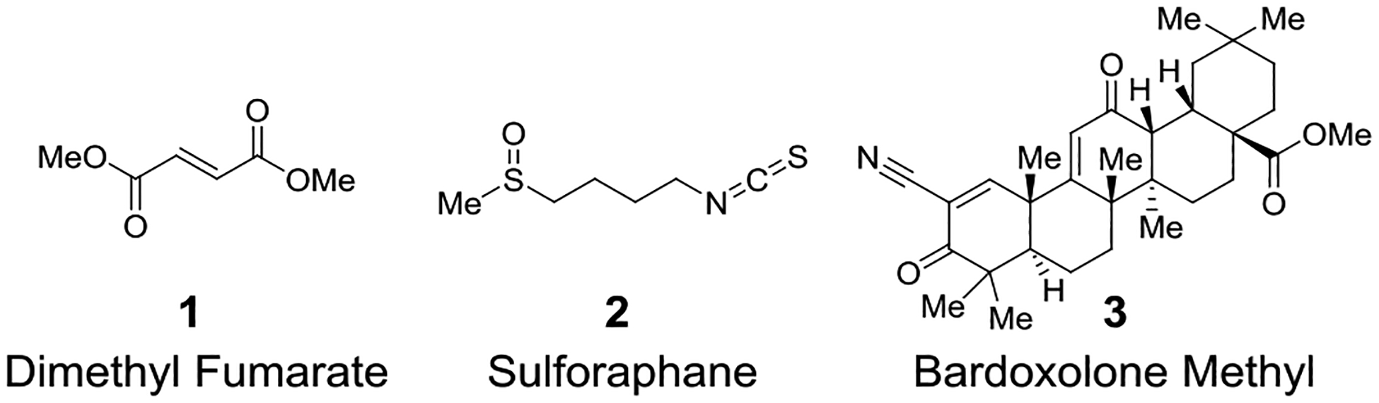 Chart 1.