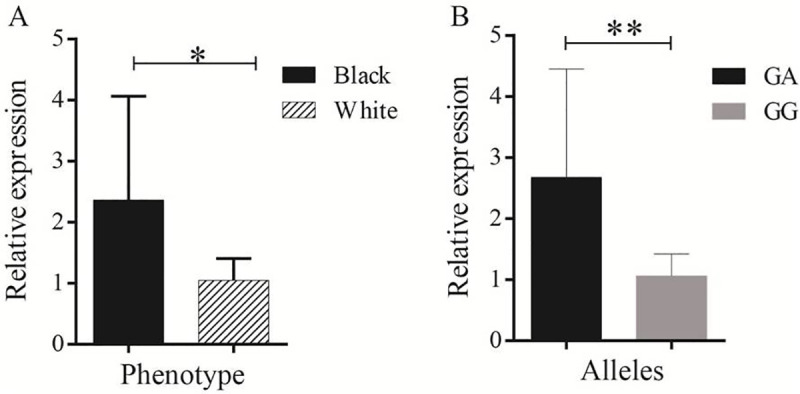 Fig 5