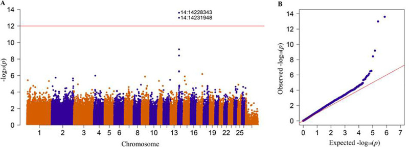 Fig 3