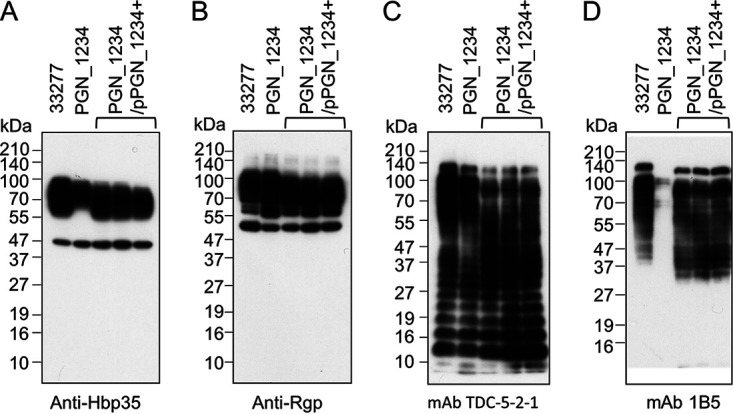 FIG 10