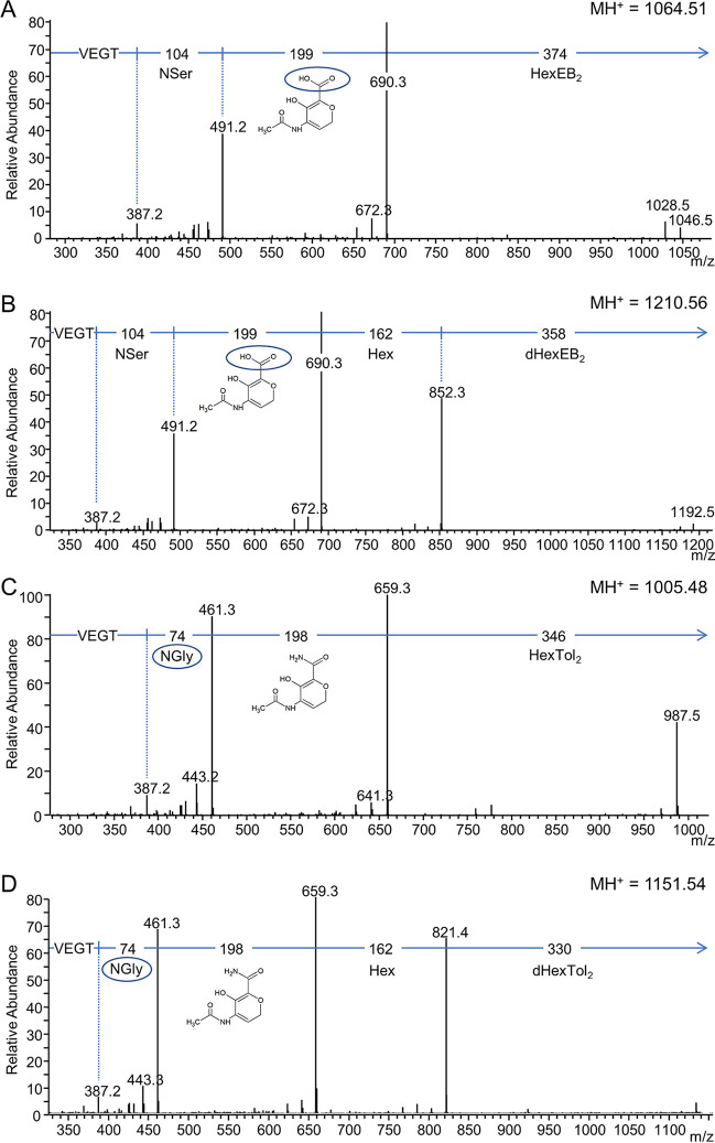 FIG 11