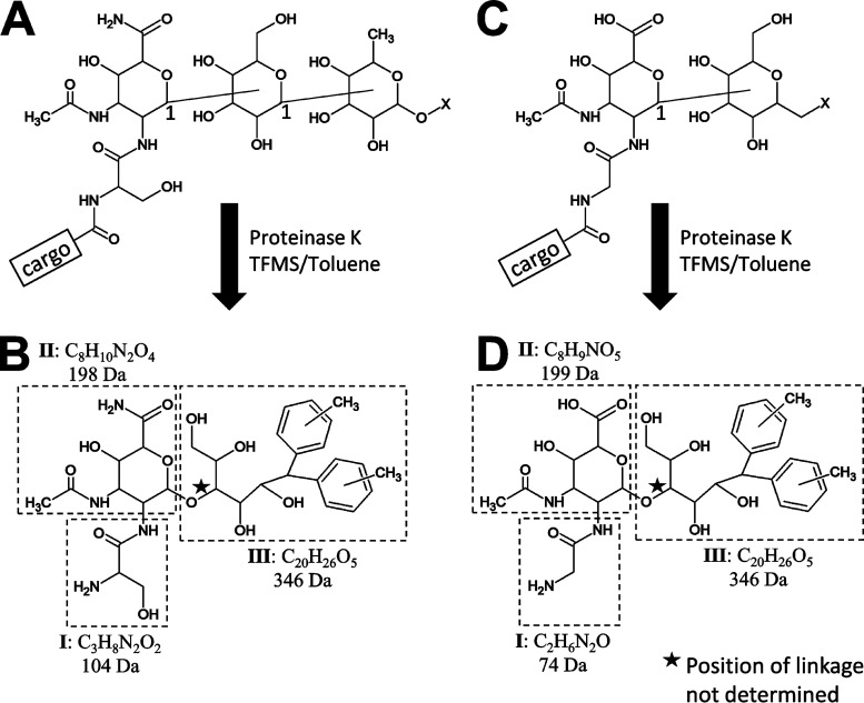 FIG 1