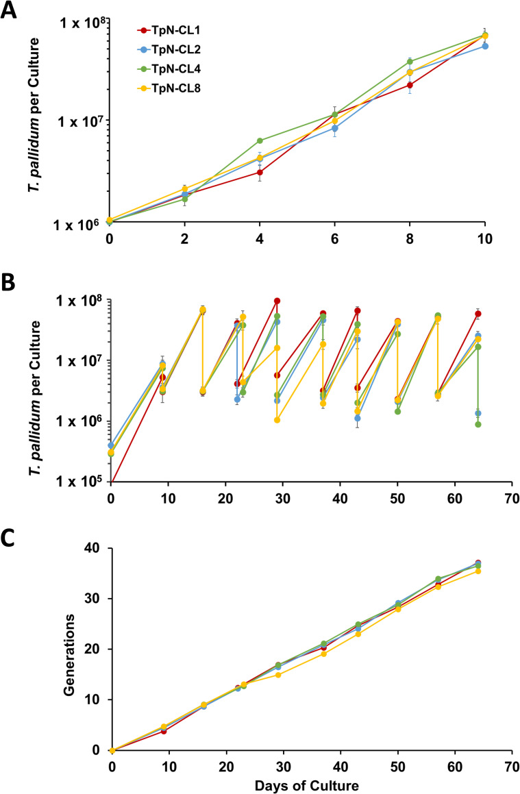 Fig 2