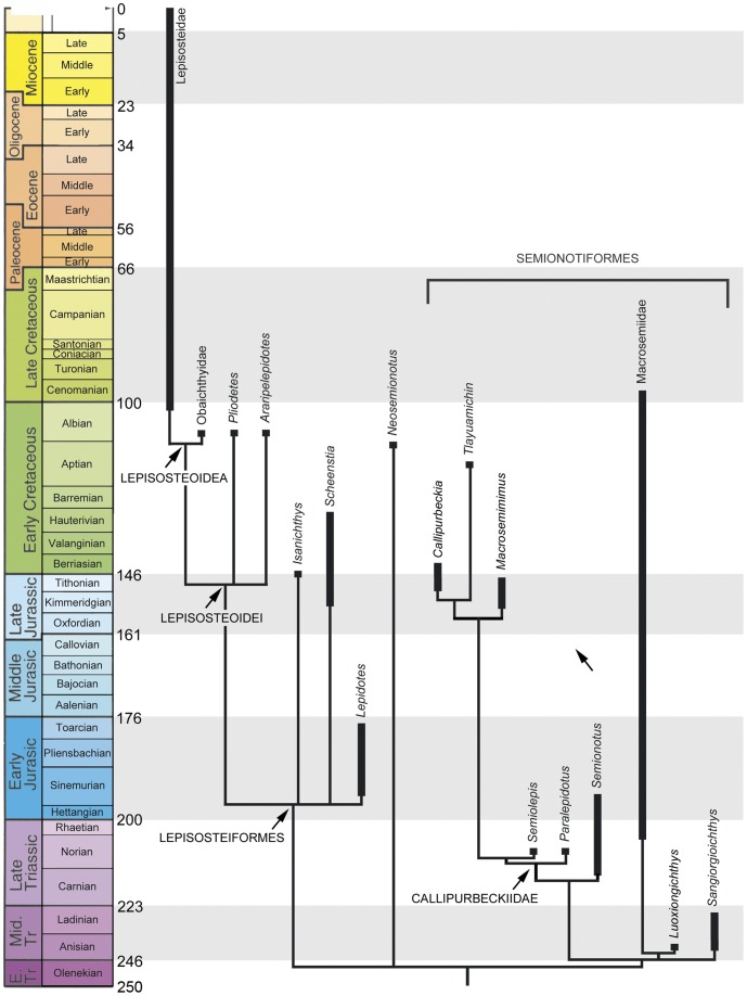 Figure 25