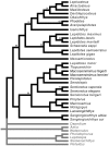 Figure 17