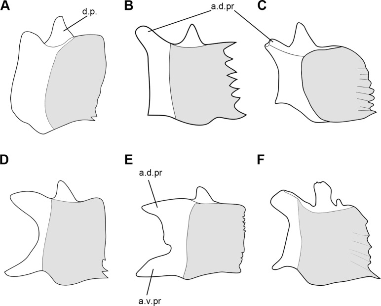 Figure 15