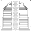 Figure 18