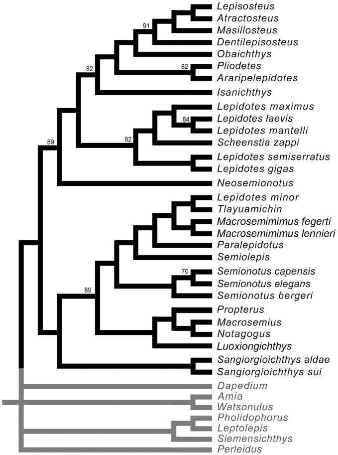 Figure 17