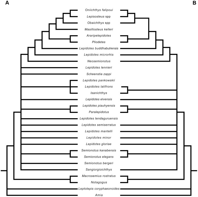 Figure 18