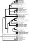 Figure 16