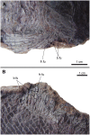 Figure 24