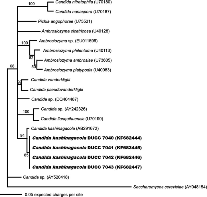 Fig. 3