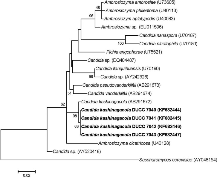 Fig. 2