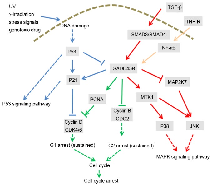 Figure 2.