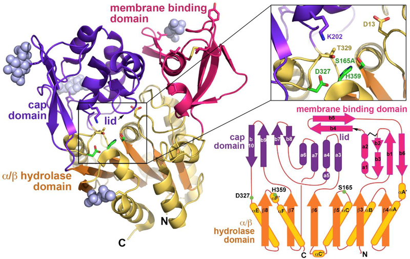 Figure 3.