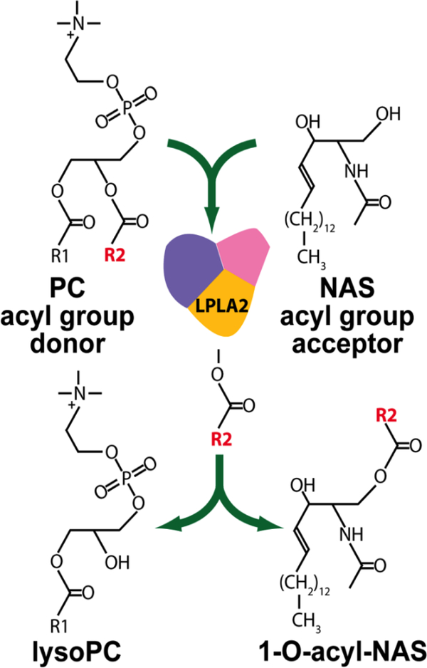 Figure 2.