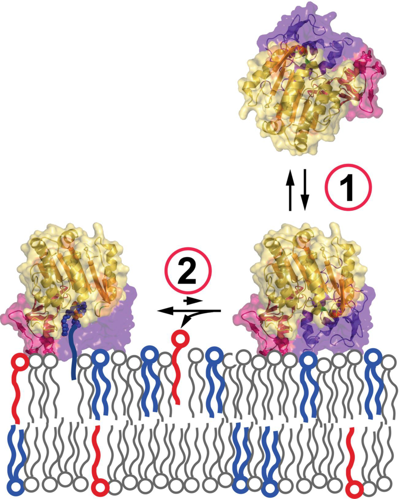 Figure 5.