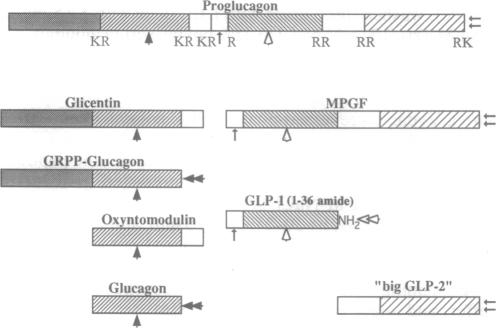 graphic file with name pnas01130-0375-a.jpg