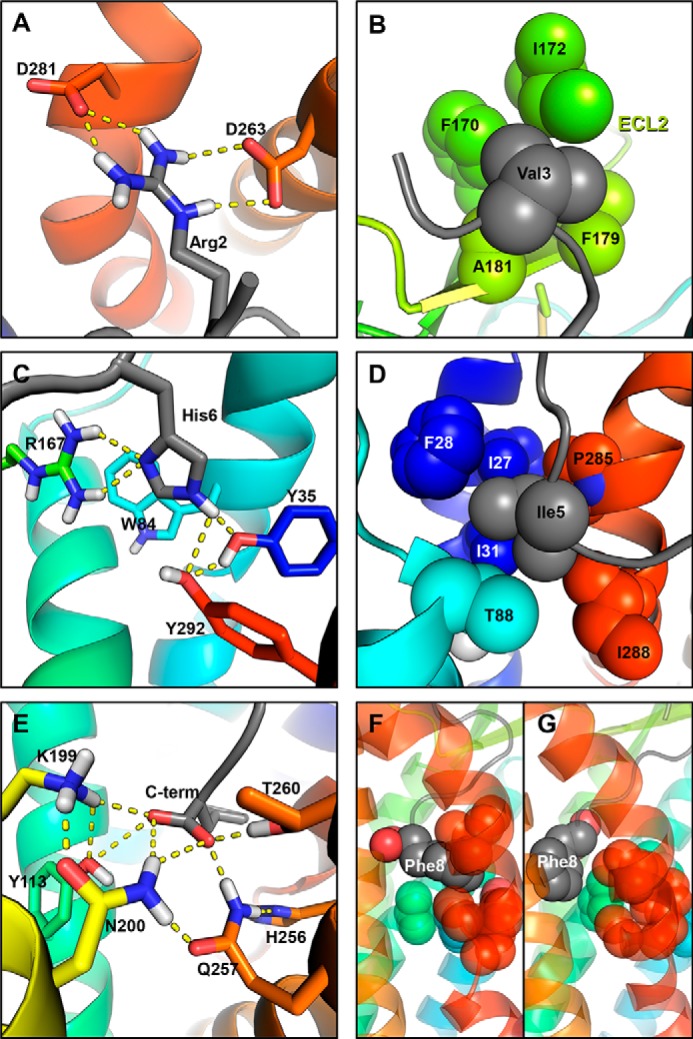 FIGURE 12.