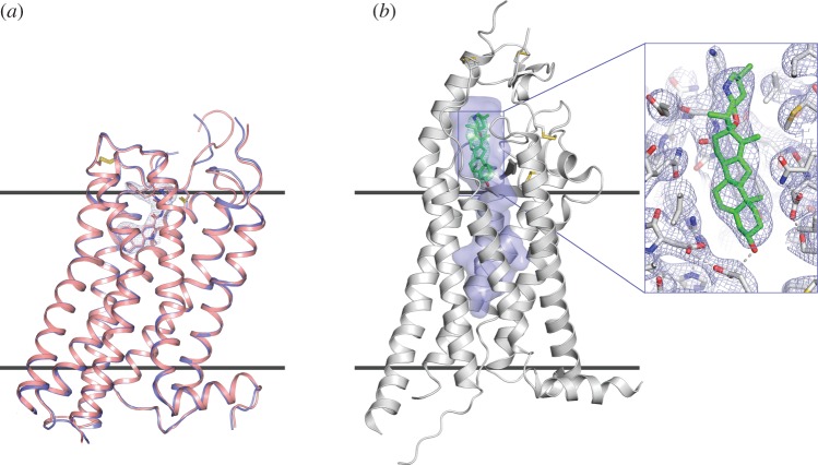 Figure 3.