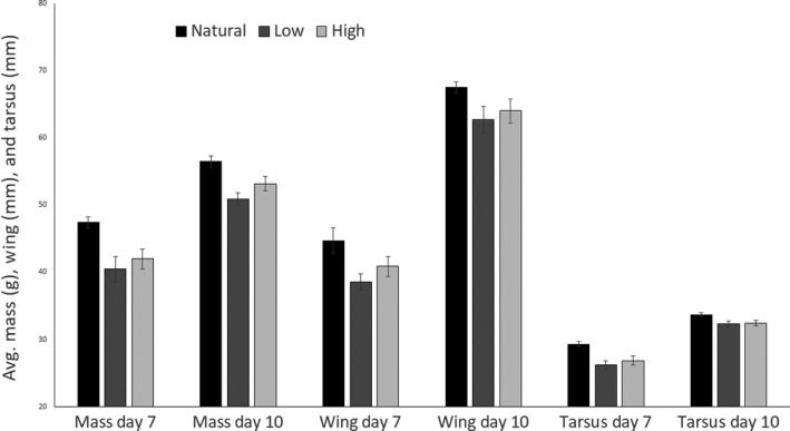 Figure 5