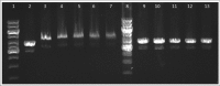Figure 9.