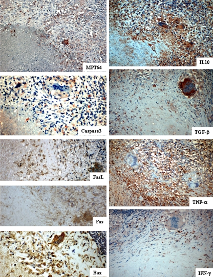 Fig. 2