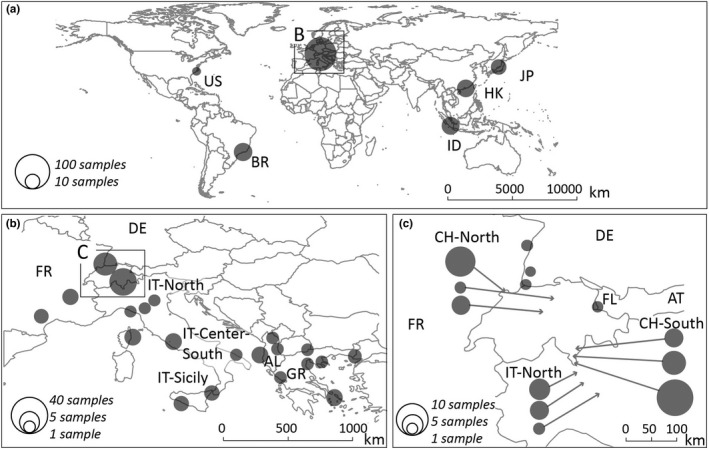 FIGURE 1