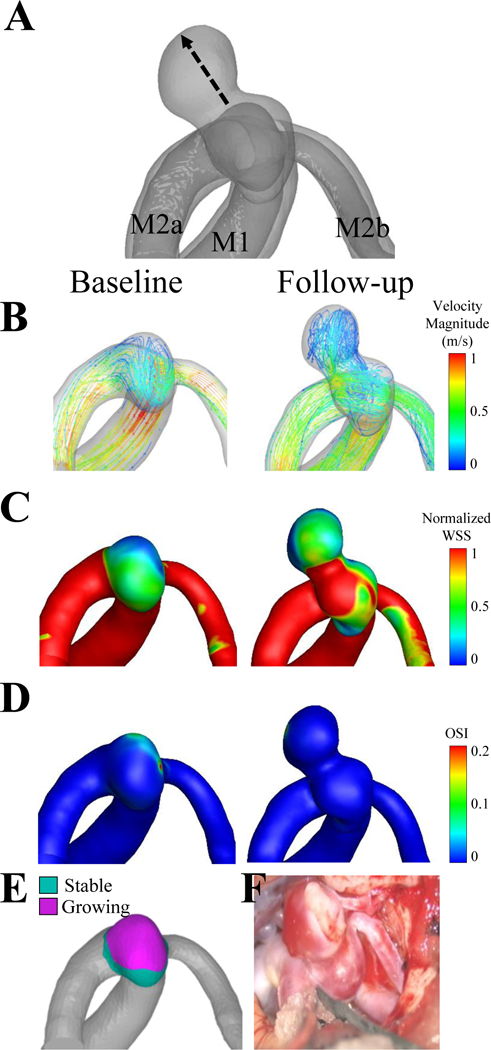 Figure 4.