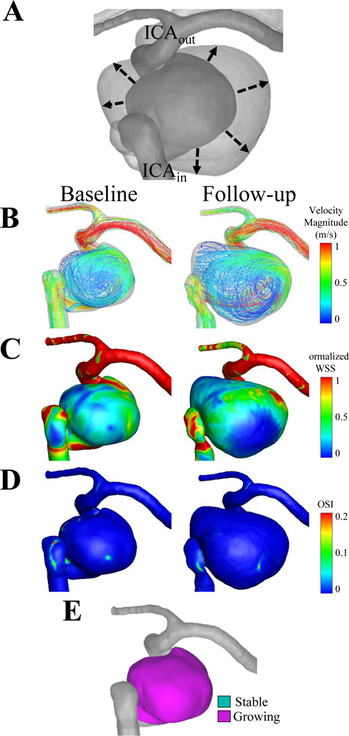 Figure 5.