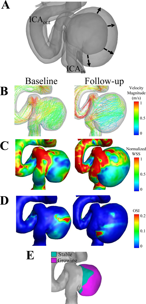 Figure 2.