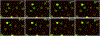 Figure 5 |