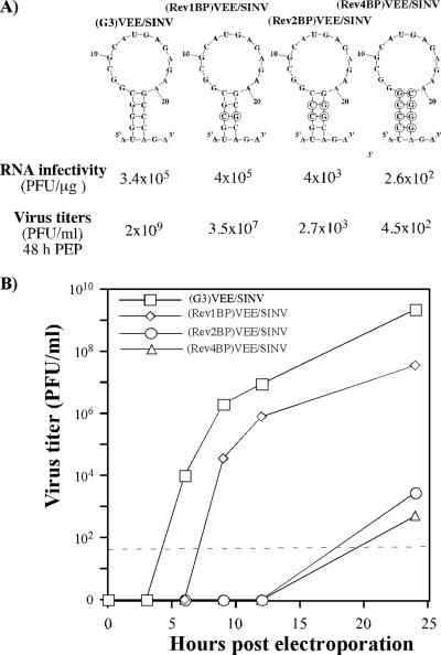 FIG. 7.