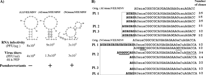 FIG. 6.