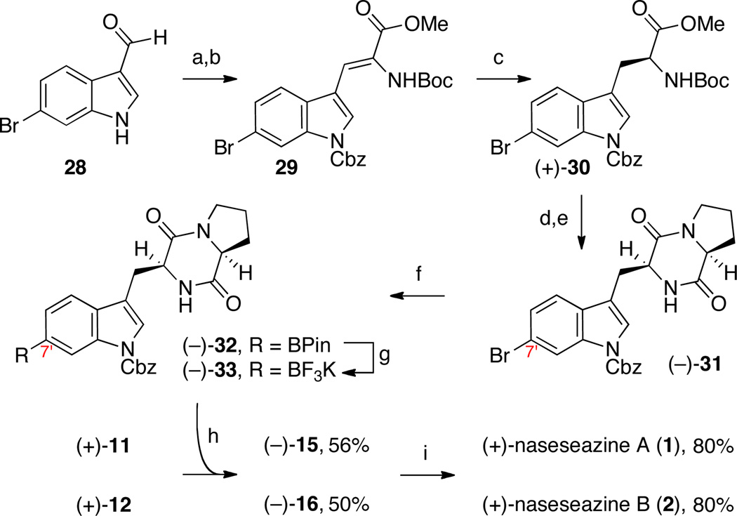 Scheme 3