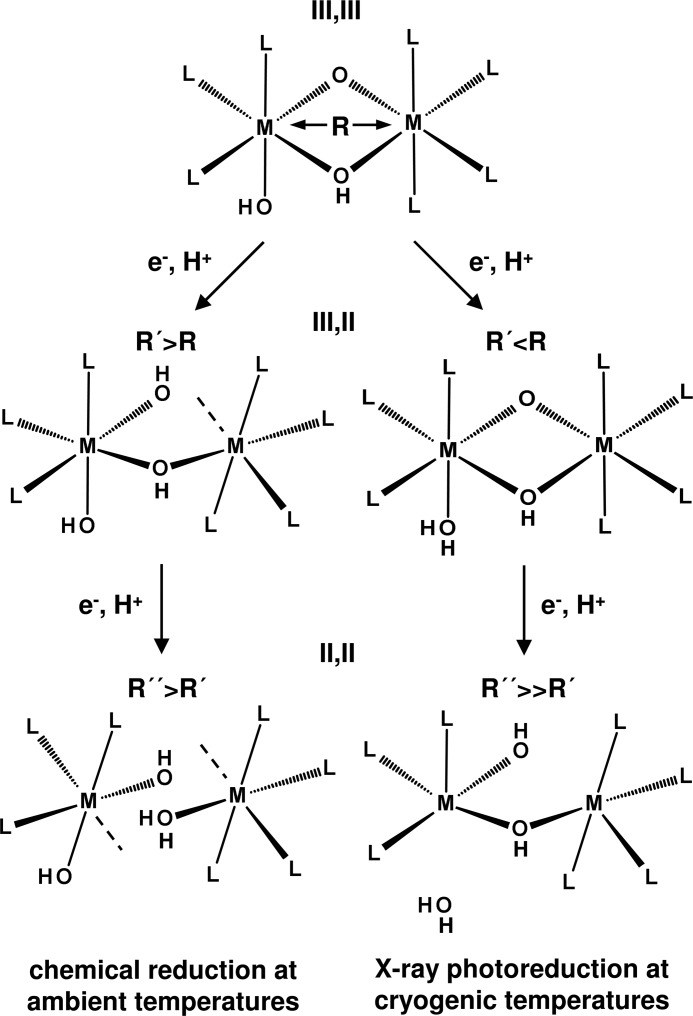 FIGURE 9.