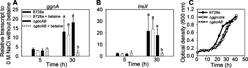 Fig 5