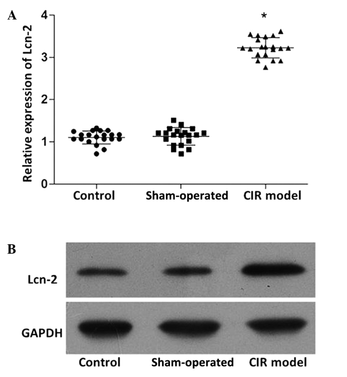 Figure 2.