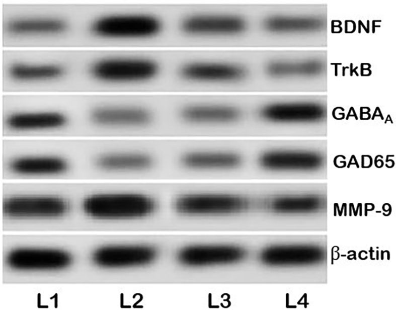 Figure 7.