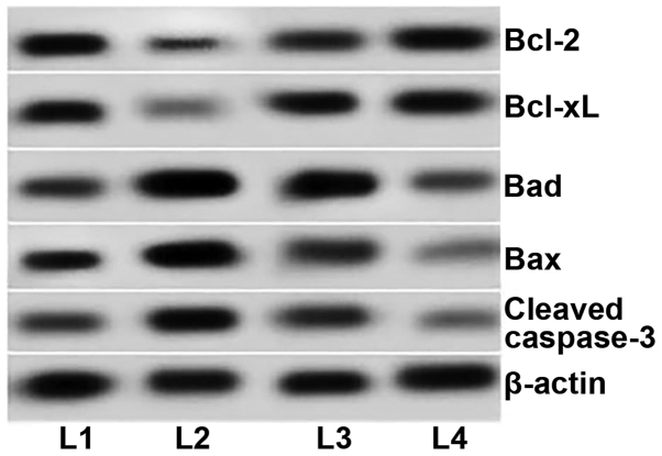 Figure 5.