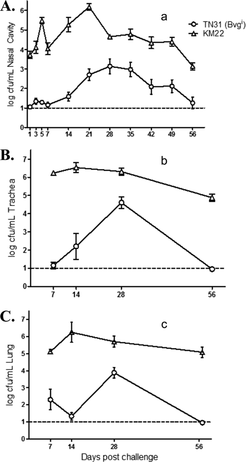 Fig 4