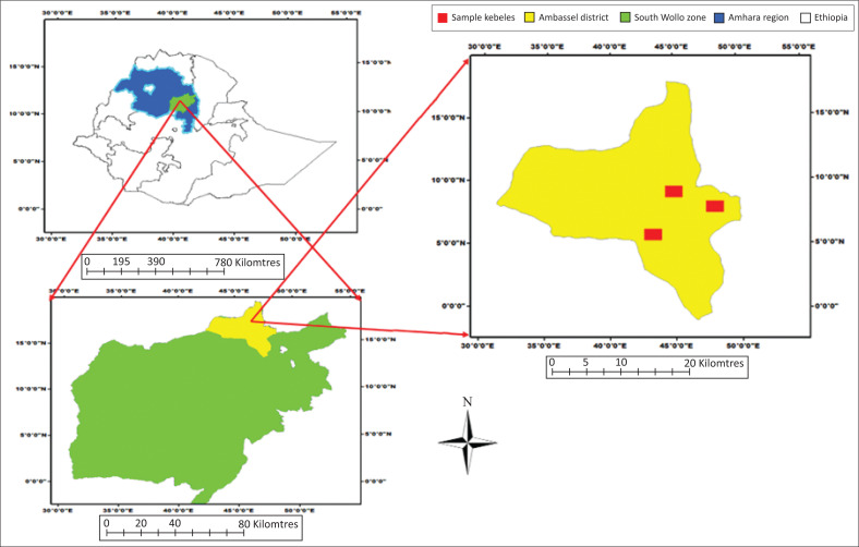 FIGURE 1