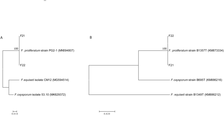 Figure 1