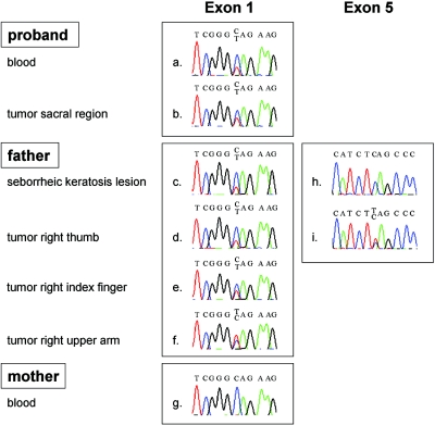 Figure  1. 