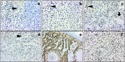 Figure  2. 