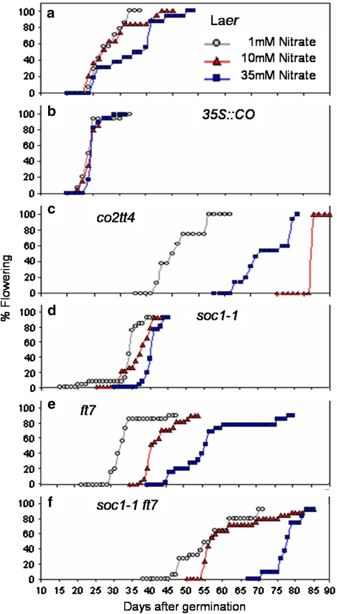 Fig. 5